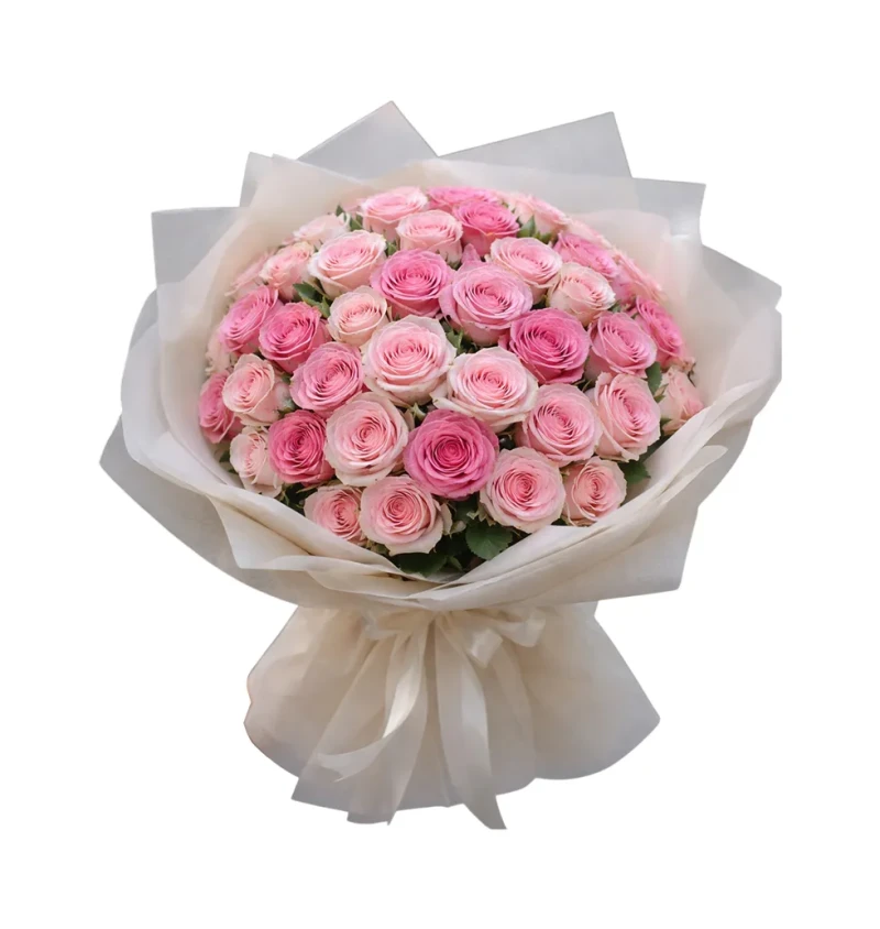 PembeGüllerin Bir Parıltısı